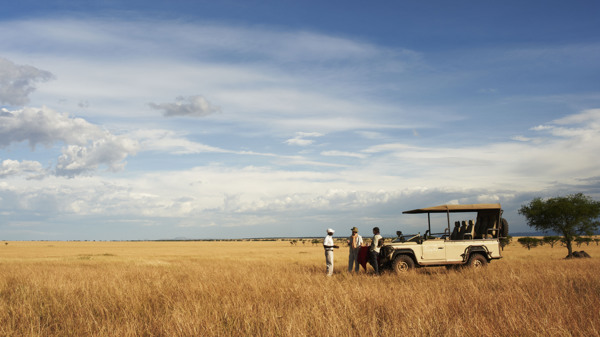east africa tanzania game drive yellow zebra safaris