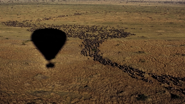 Hot air ballooning, The Serengeti, Tanzania 