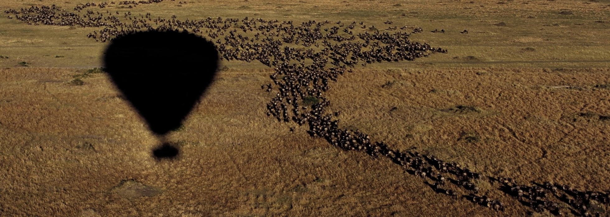 Hot air ballooning, The Serengeti, Tanzania 