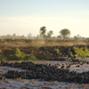 Sayari Camp river crossing