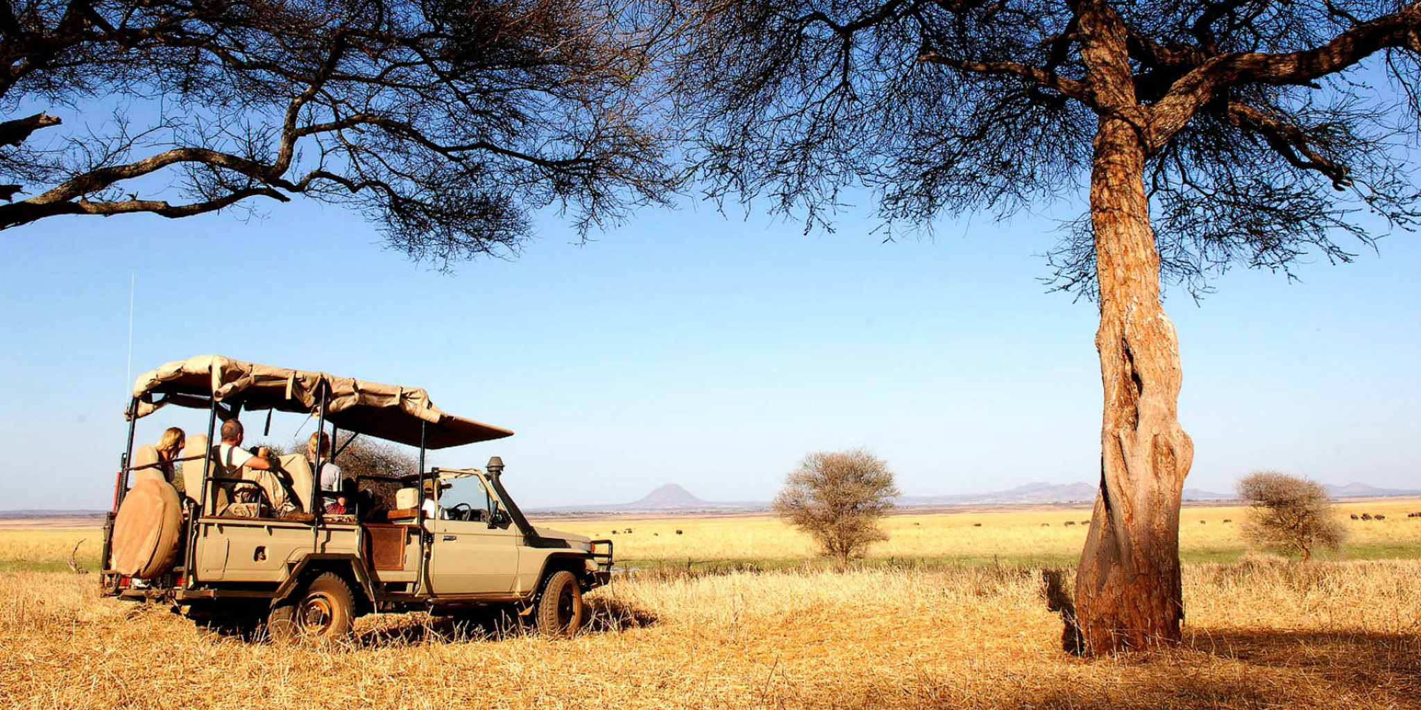 Game drive in Tarangire National Park, Tanzania