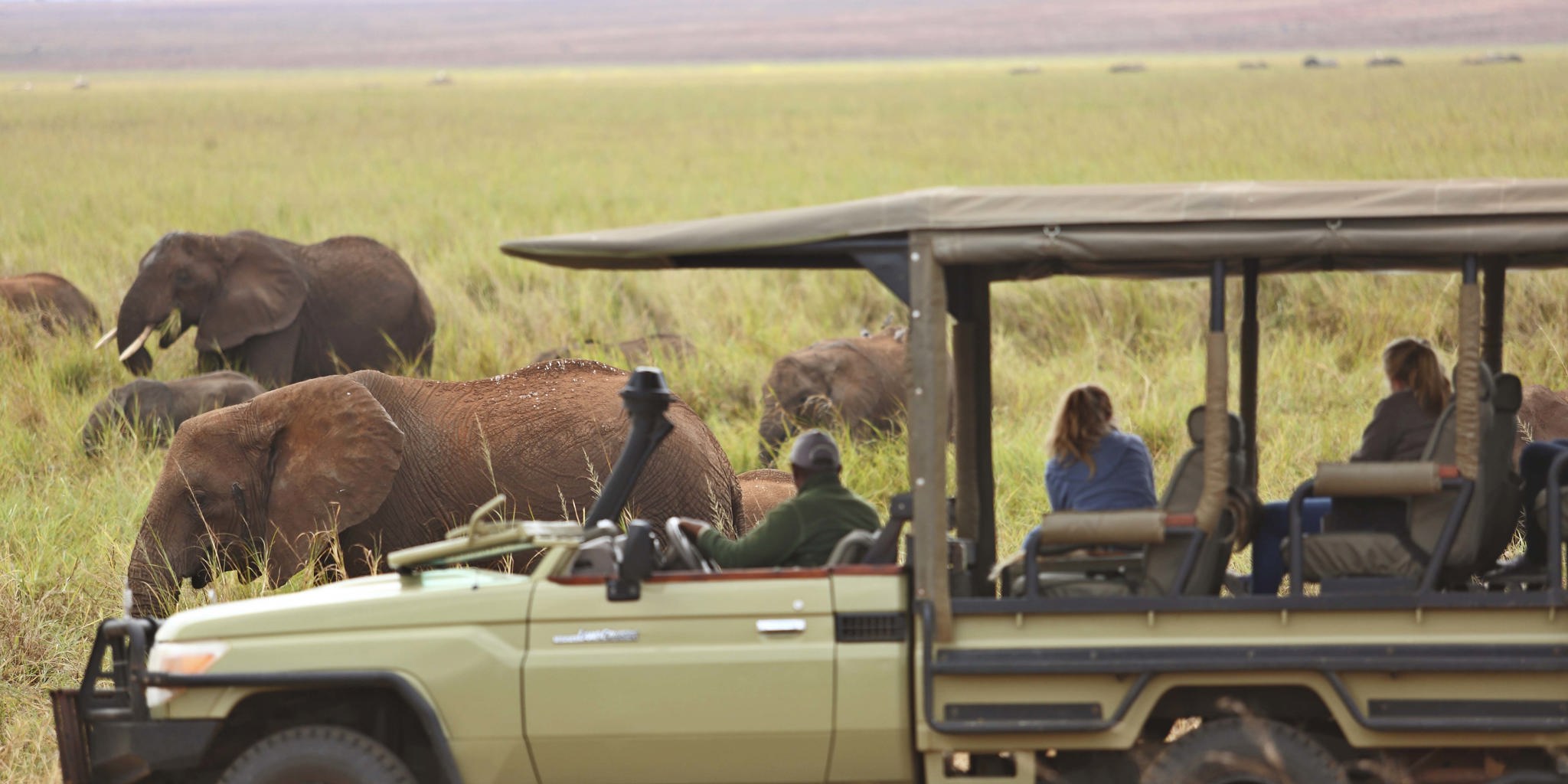 Elephant herd in Tarangire National Park, Tanzania