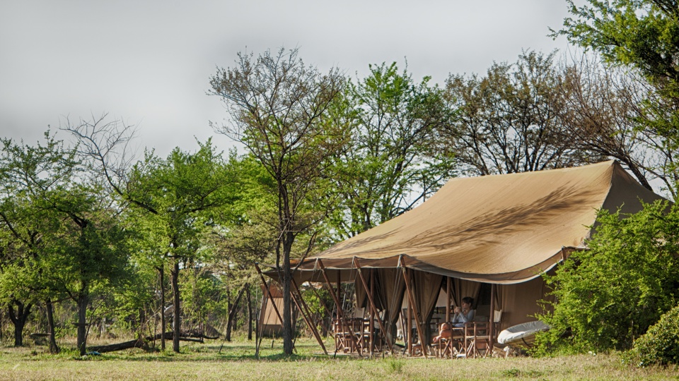 Tent, Serian's Serengeti North Camp, The Serengeti, Tanzania