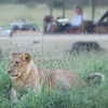 Singita Sabora Game Drive