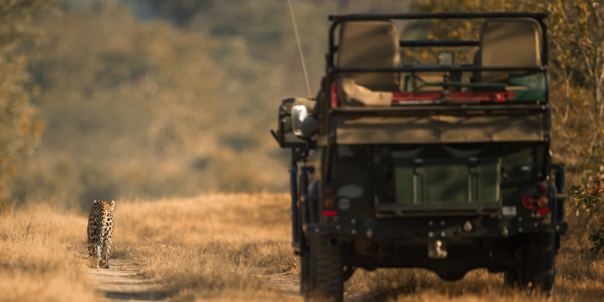 Singita Boulders Lodge Game Drive6