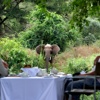 Singita Lebombo Lunch