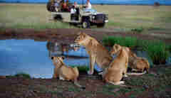 Singita Serengeti House Game Drive5