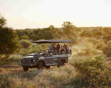 sunset game drive, kruger national park, south africa