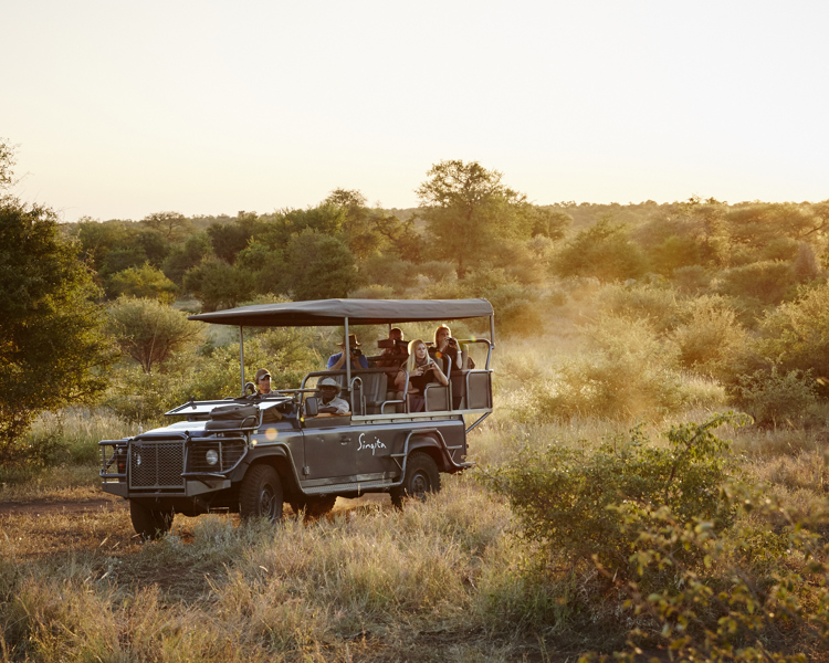 South Africa Safaris | Luxury Bespoke Vacations
