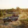 Singita Sweni Lodge Game Drive2