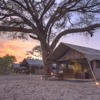 Savute Under Canvas | Luxury Camps In Botswana | Yellow Zebra Safaris