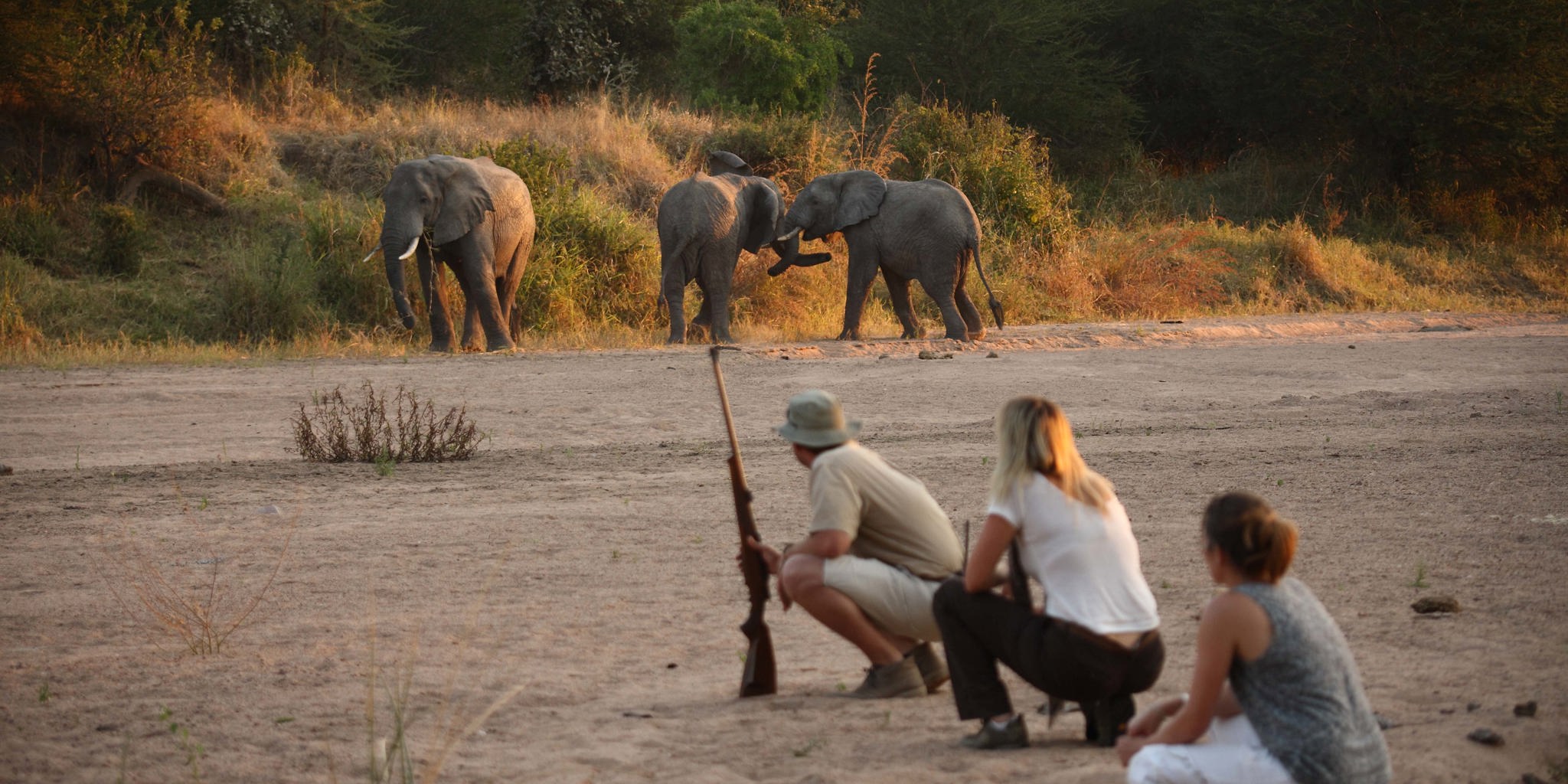 Image result for ruaha tanapa cottage