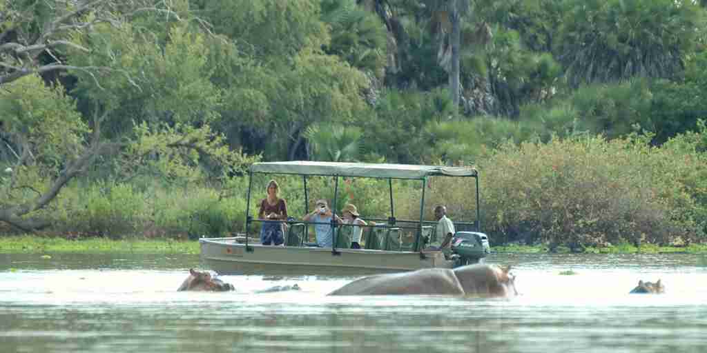 Hippos, boat cruise, Selous Game Reserve, Tanzania