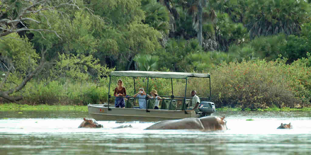 Hippos, boat cruise, Nyerere National Park, Tanzania
