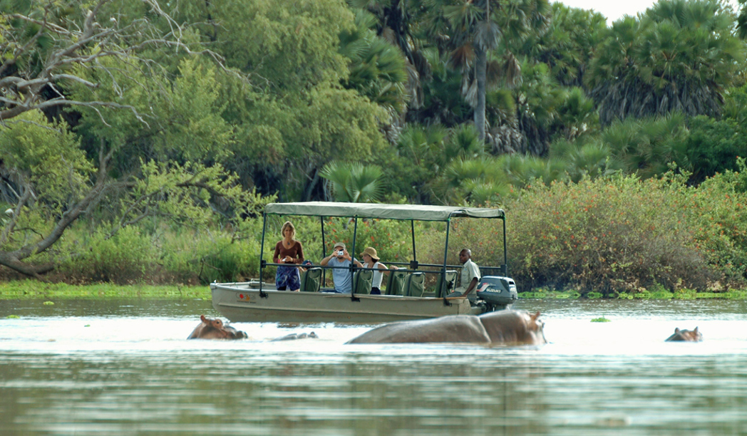 Experiencing the boat safari in Keoladeo National Park