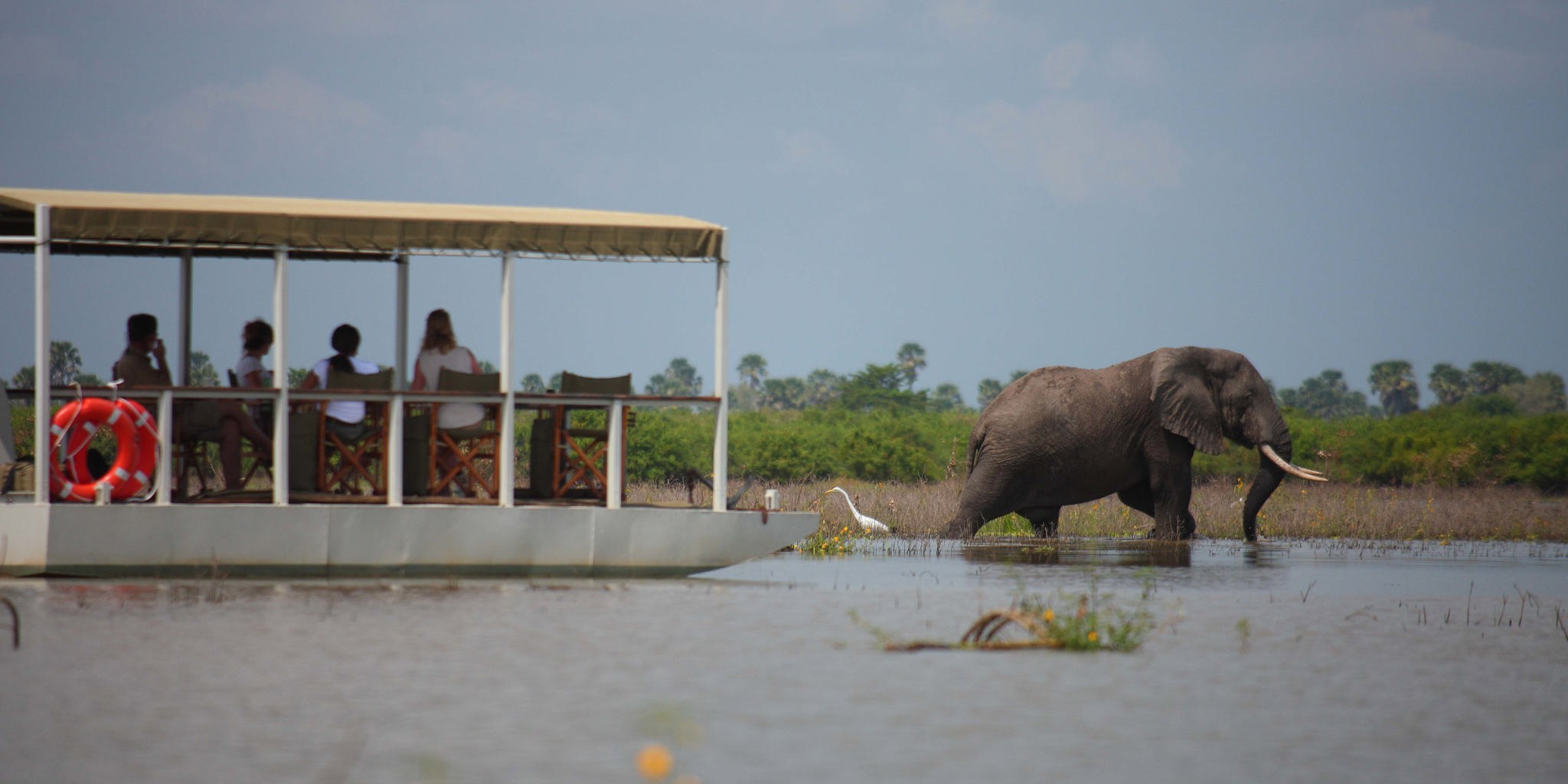 Selous2011 138