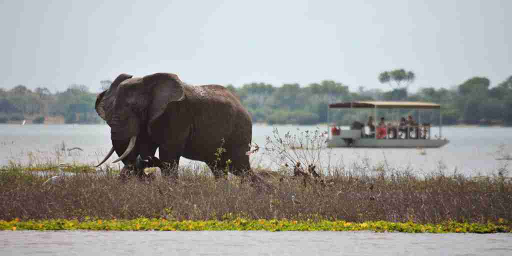 Elephant safari, boat cruise, Nyerere National Park,