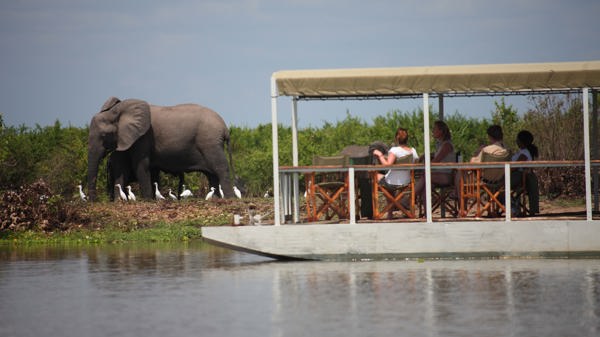 Boat cruise, Selous Game Reserve, Tanzania