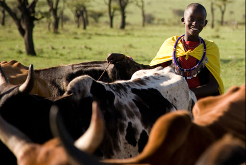 Culture, Herding, Kenya