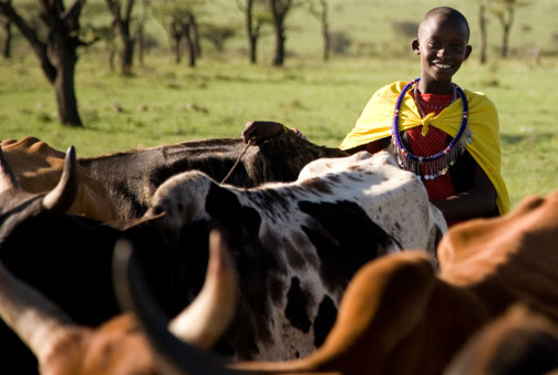 Culture, Herding, Kenya
