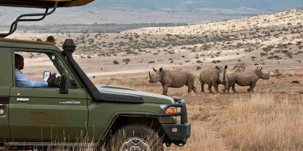 Rhino game drive, Lewa borana safaris, Kenya