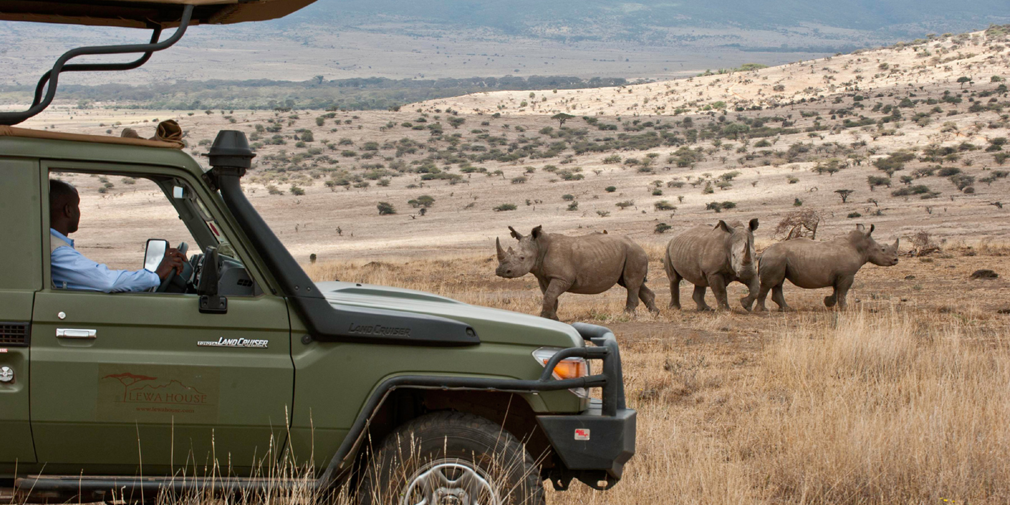 Rhino game drive, Lewa borana landscape safaris, Kenya