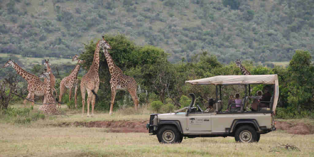 Game drives from camp