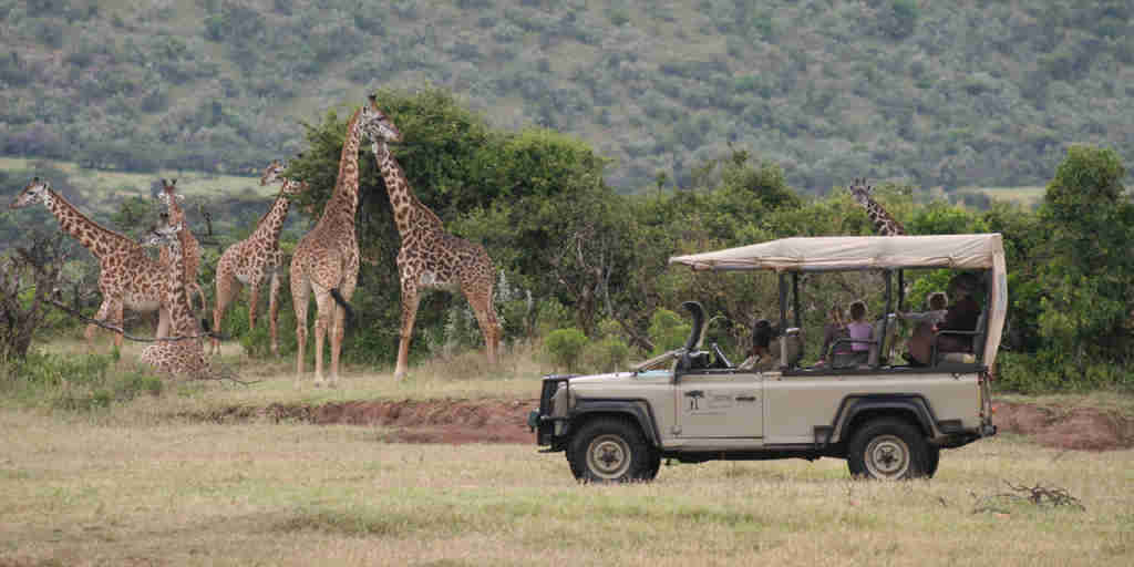 Game drives from camp