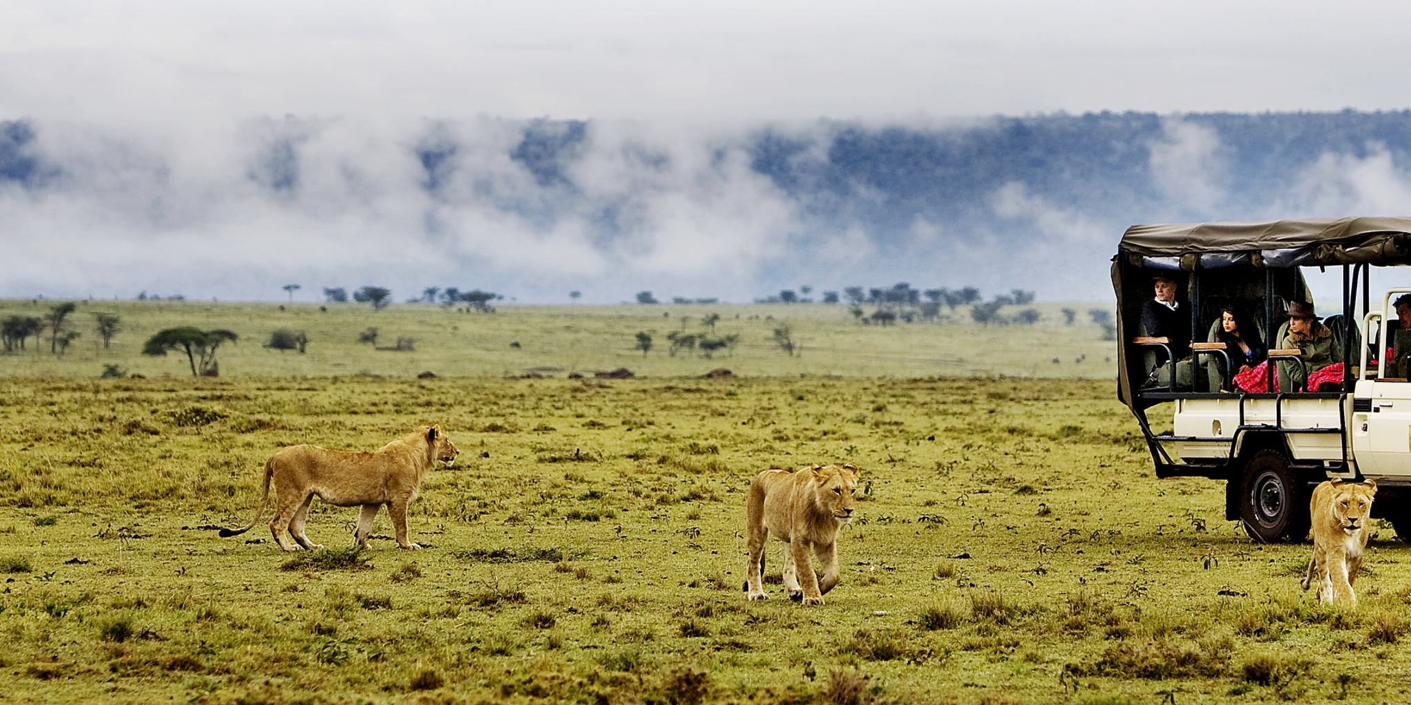 Game drive in the greater Mara, Kenya safaris