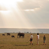 Walking safaris in the Mara, Kenya holidays