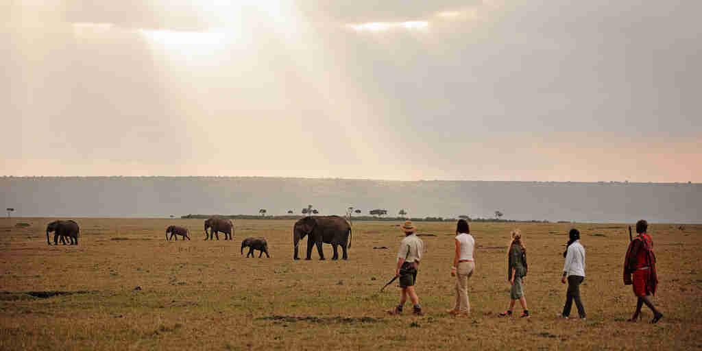 Walking safaris in the Mara, Kenya holidays
