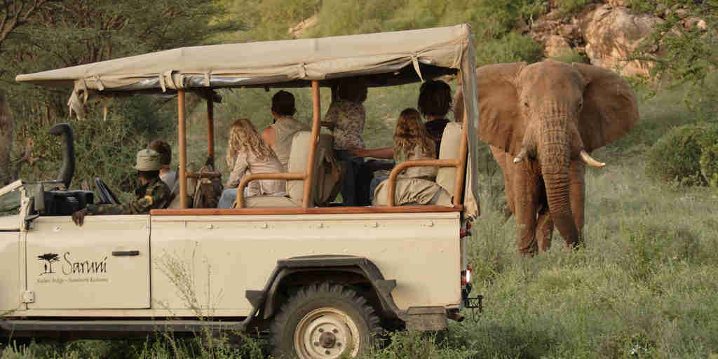 Elephant in the Greater Mara, Kenya driving safaris