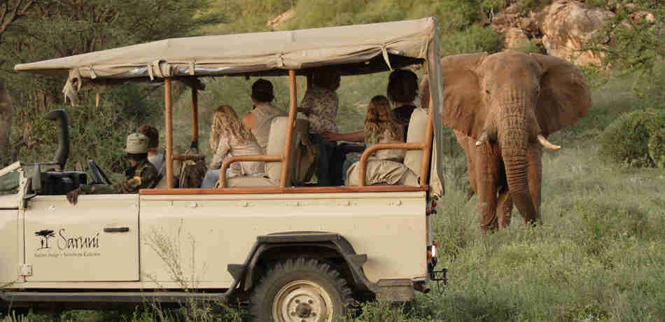 Elephant in the Greater Mara, Kenya driving safaris