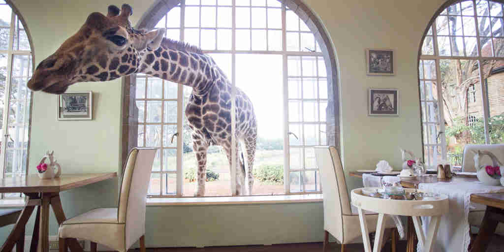 dining area, giraffe manor, nairobi, Kenya
