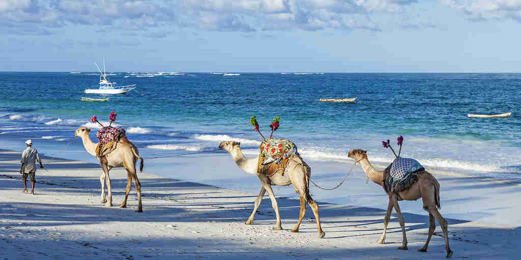 camel back safaris, diani beach, kenya holidays