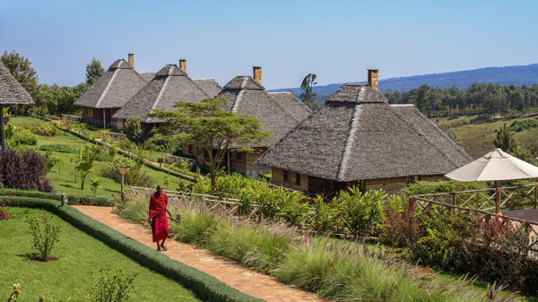 ngorongoro 645