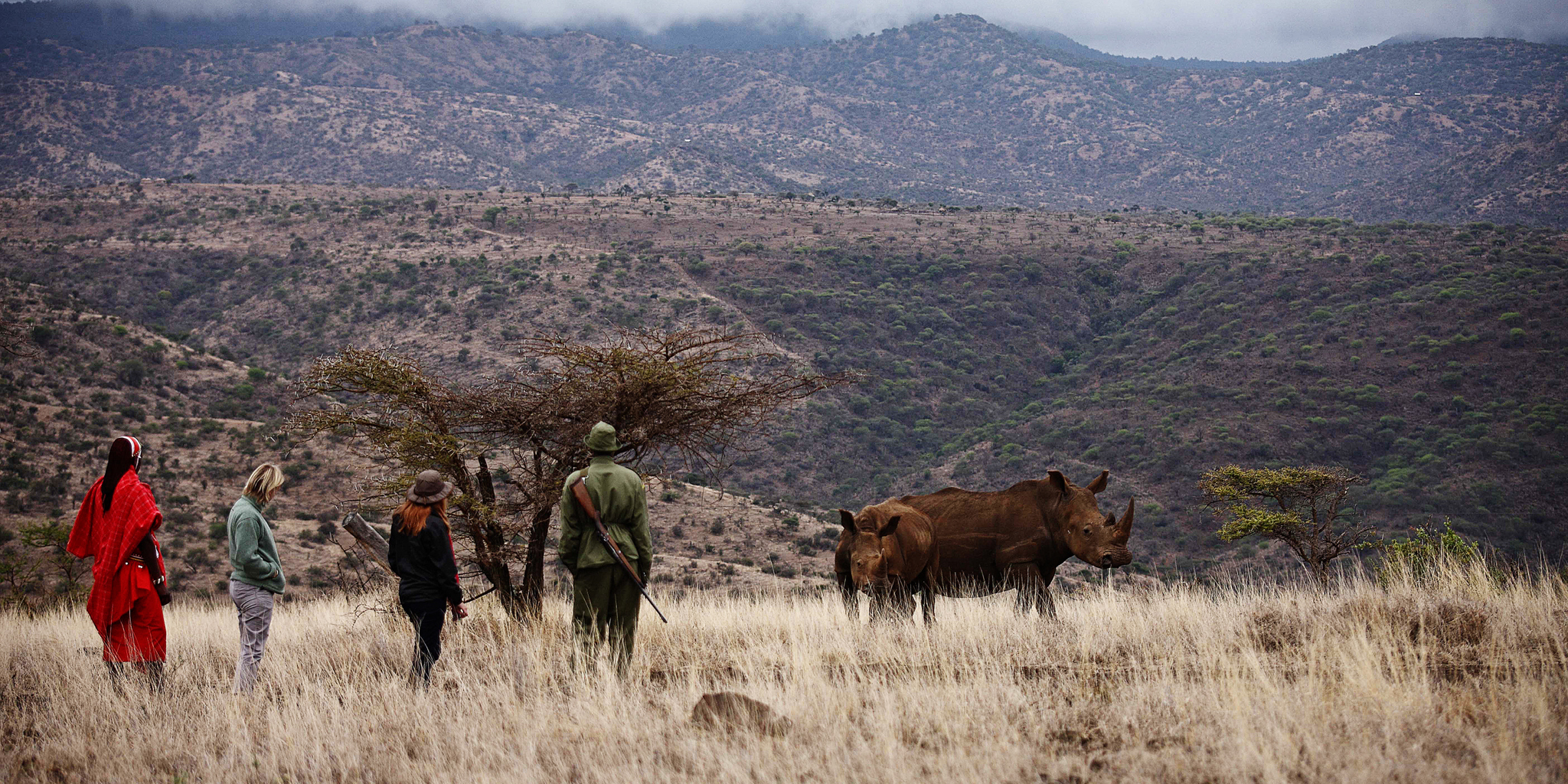 guided walks in the conservancy