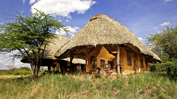 lewa safari camp family tent exterior