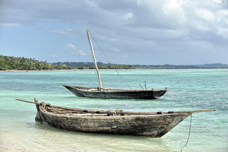 canoes