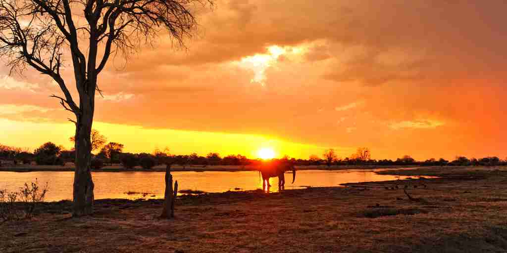 orange sunset over khwai safari park, botswana vacations