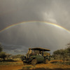 Scenic game drive vehicle