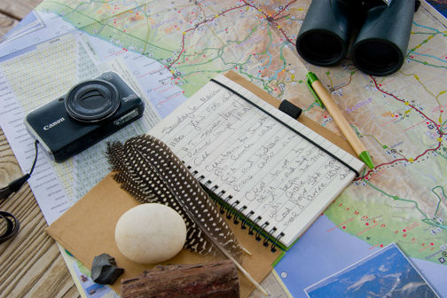 Planning Safari, Top Ten Safari Tips, Guide Clinic
