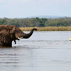 Canoe Safari, Top Ten Safari Tips, Guide Clinic