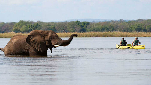 Canoe Safari, Top Ten Safari Tips, Guide Clinic
