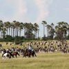 Horse Safari, Top Ten Safari Tips, Guide Clinic