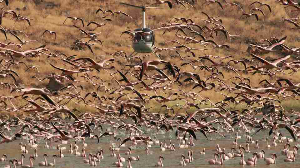 Helicopter safaris, Turkana and mount Kenya holidays