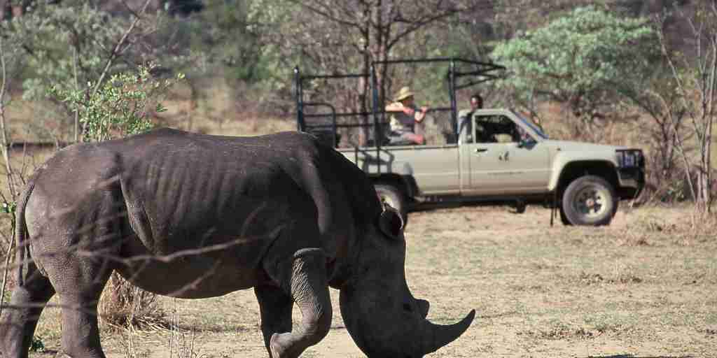 rhino safaris, matobo national park, zimbabwe