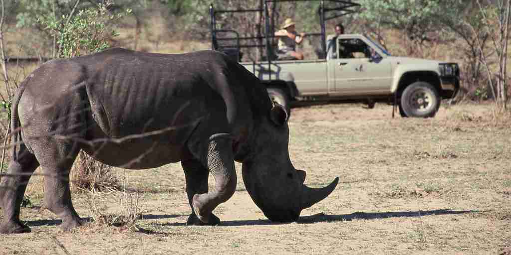 rhino safaris, matobo national park, zimbabwe