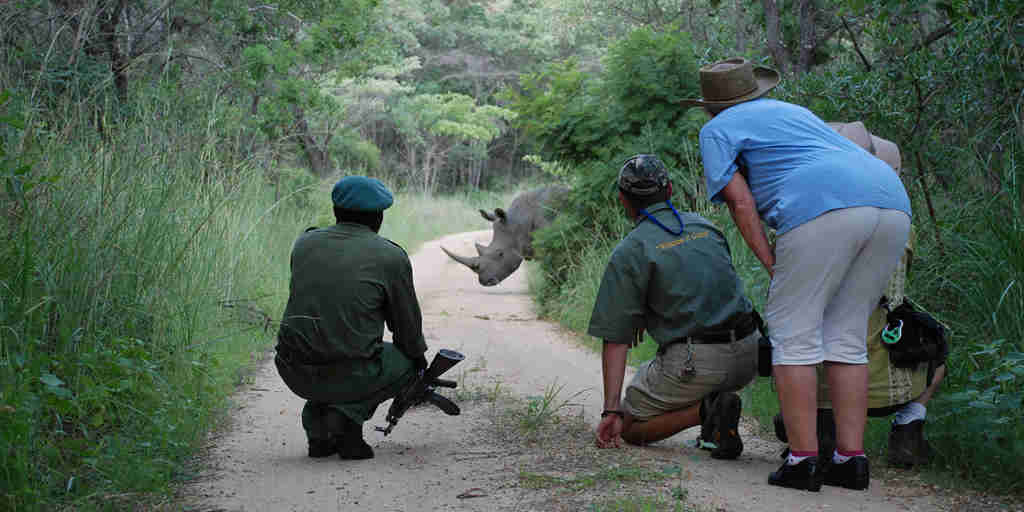 rhino trekking, matobo national park, zimbabwe safaris