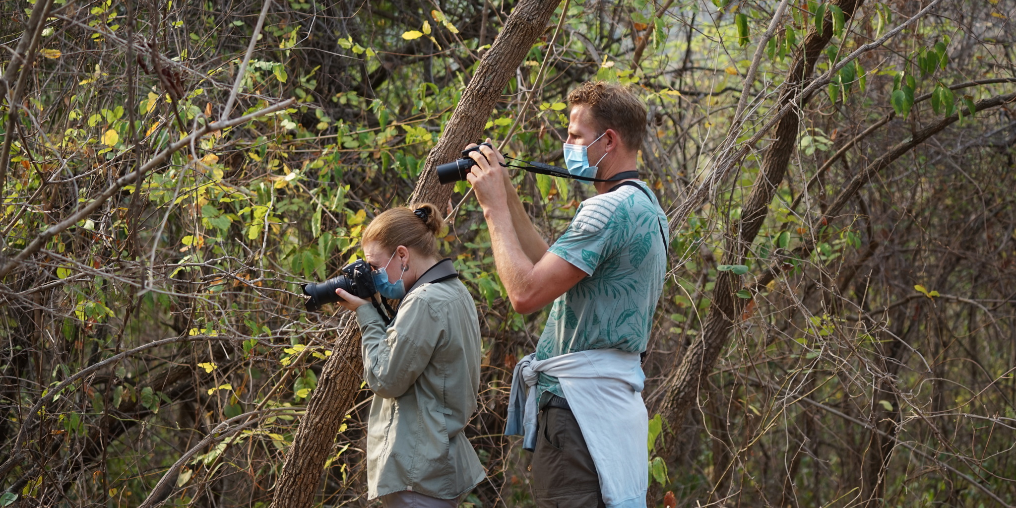 Chimpanzee photography safari, Mahale Mountains, Tanzania, Africa